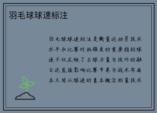 羽毛球球速标注